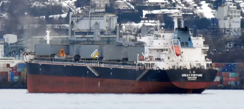 GREAT FORTUNE Bulk Carrier IMO 9738507 photo 5