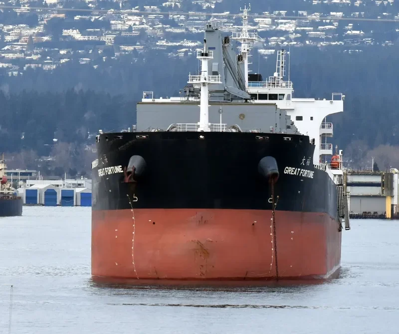 GREAT FORTUNE Bulk Carrier IMO 9738507 photo 6