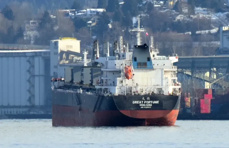 GREAT FORTUNE Bulk Carrier IMO 9738507 photo 7