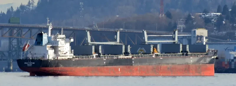 GREAT FORTUNE Bulk Carrier IMO 9738507 photo 8