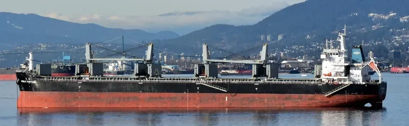 GREAT FORTUNE Bulk Carrier IMO 9738507 photo 9