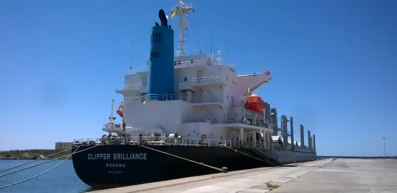 TAIKOO BRILLIANCE Bulk Carrier IMO 9738727