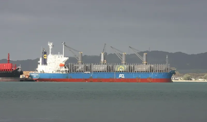 GLORIOUS MAHUTA Bulk Carrier IMO 9738739