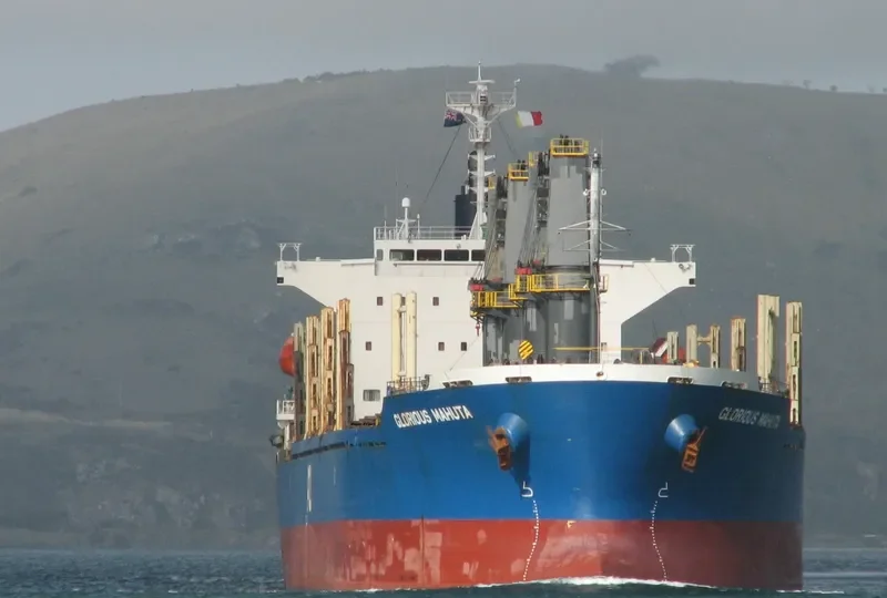 GLORIOUS MAHUTA Bulk Carrier IMO 9738739 photo 4