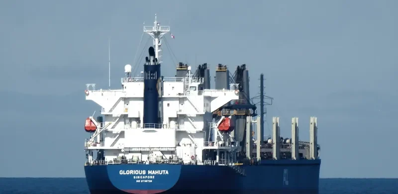 GLORIOUS MAHUTA Bulk Carrier IMO 9738739 photo 10