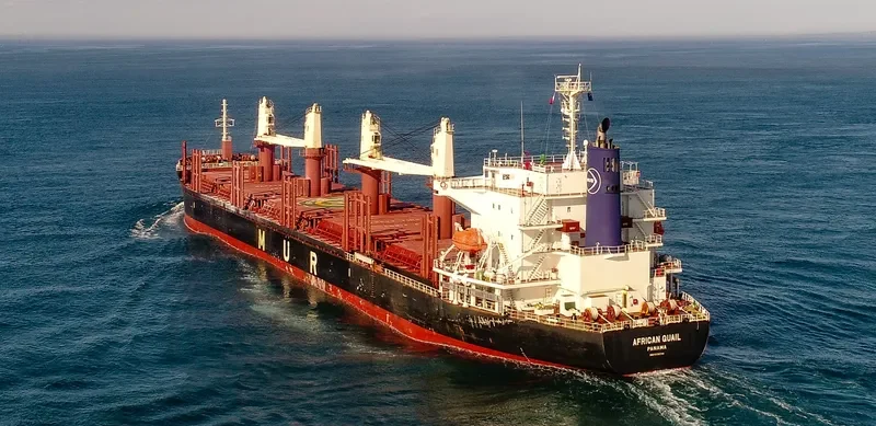AFRICAN QUAIL Bulk Carrier IMO 9738741