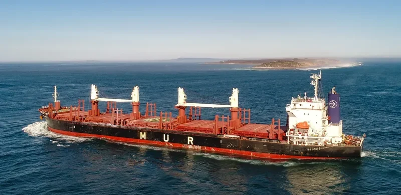 AFRICAN QUAIL Bulk Carrier IMO 9738741 photo 2