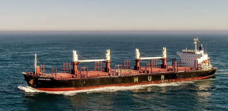 AFRICAN QUAIL Bulk Carrier IMO 9738741 photo 3