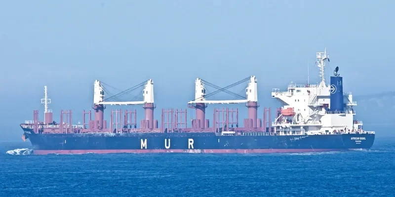 AFRICAN QUAIL Bulk Carrier IMO 9738741 photo 4