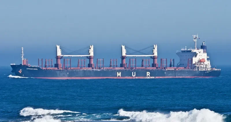 AFRICAN QUAIL Bulk Carrier IMO 9738741 photo 5