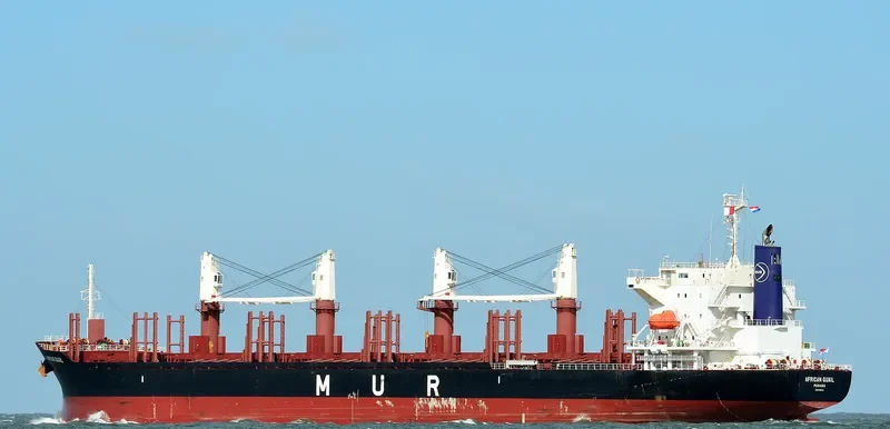 AFRICAN QUAIL Bulk Carrier IMO 9738741 photo 6
