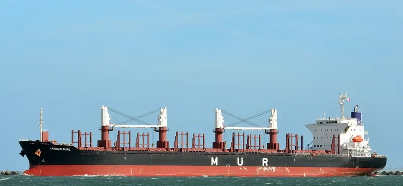 AFRICAN QUAIL Bulk Carrier IMO 9738741 photo 7