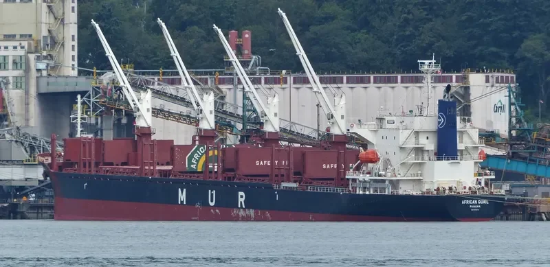 AFRICAN QUAIL Bulk Carrier IMO 9738741 photo 8
