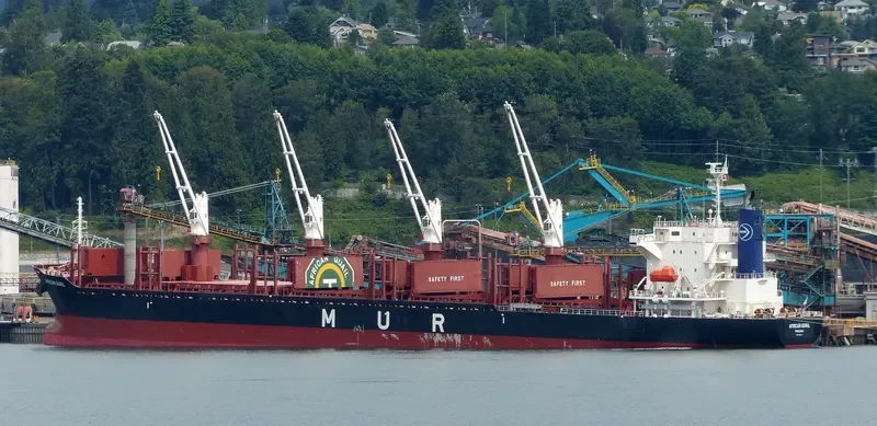 AFRICAN QUAIL Bulk Carrier IMO 9738741 photo 9
