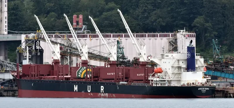 AFRICAN QUAIL Bulk Carrier IMO 9738741 photo 10