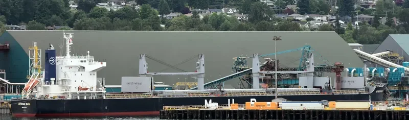 AFRICAN BAZA Bulk Carrier IMO 9738753