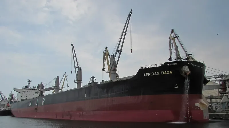 AFRICAN BAZA Bulk Carrier IMO 9738753 photo 2