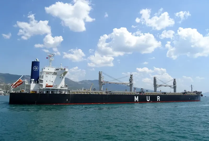 AFRICAN BAZA Bulk Carrier IMO 9738753 photo 4