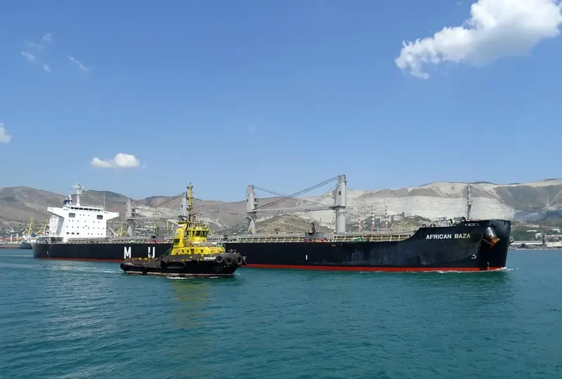 AFRICAN BAZA Bulk Carrier IMO 9738753 photo 5