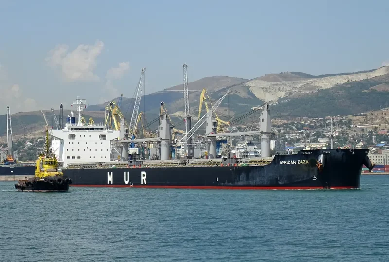 AFRICAN BAZA Bulk Carrier IMO 9738753 photo 6
