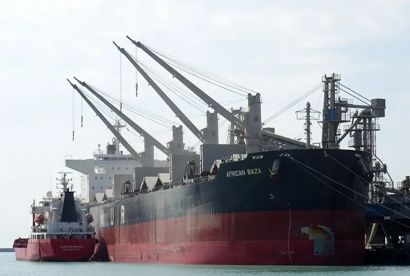 AFRICAN BAZA Bulk Carrier IMO 9738753 photo 7