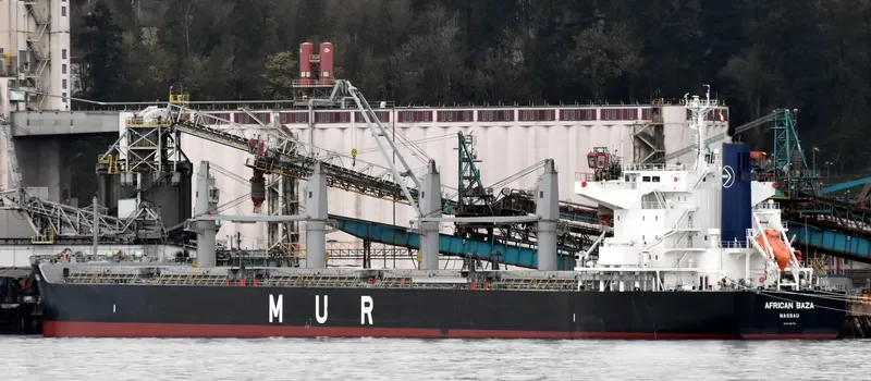 AFRICAN BAZA Bulk Carrier IMO 9738753 photo 9