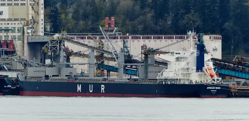 AFRICAN BAZA Bulk Carrier IMO 9738753 photo 10