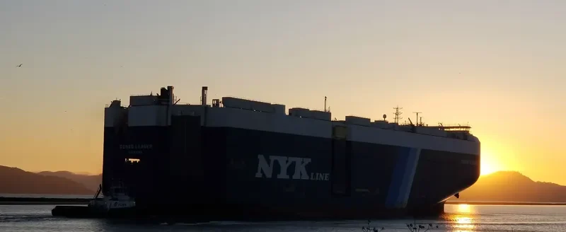 DENEB LEADER General Cargo IMO 9738777 photo 2