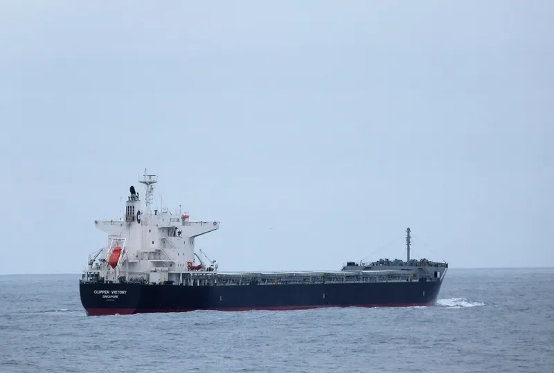 SANTA IRINI Bulk Carrier IMO 9738789 photo 3