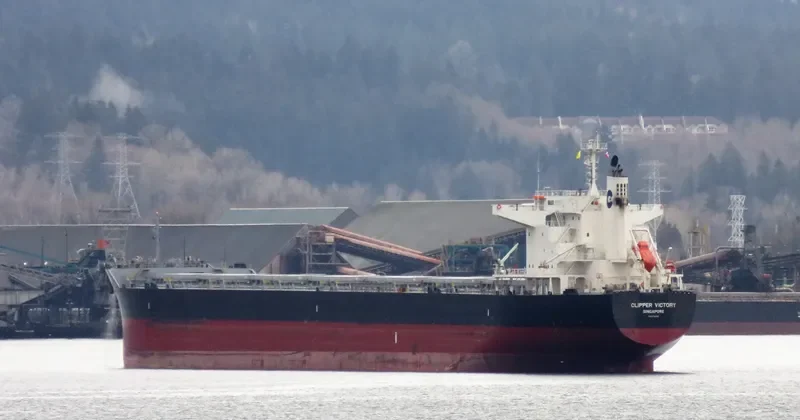 SANTA IRINI Bulk Carrier IMO 9738789 photo 4