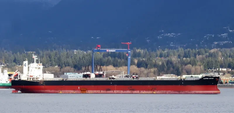 SANTA IRINI Bulk Carrier IMO 9738789 photo 6