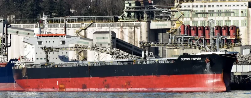 SANTA IRINI Bulk Carrier IMO 9738789 photo 7