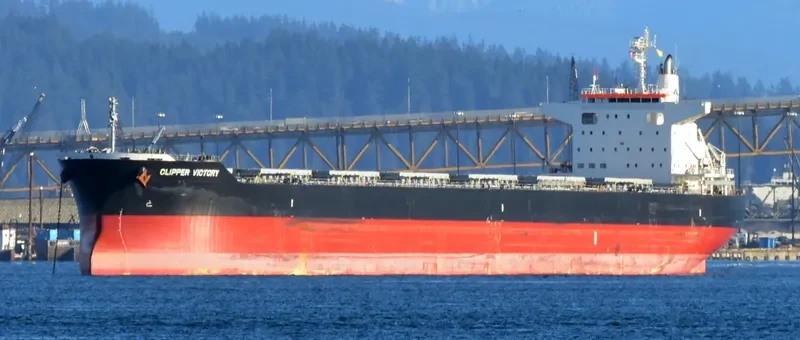 SANTA IRINI Bulk Carrier IMO 9738789 photo 8