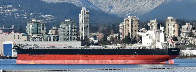 SANTA IRINI Bulk Carrier IMO 9738789 photo 9