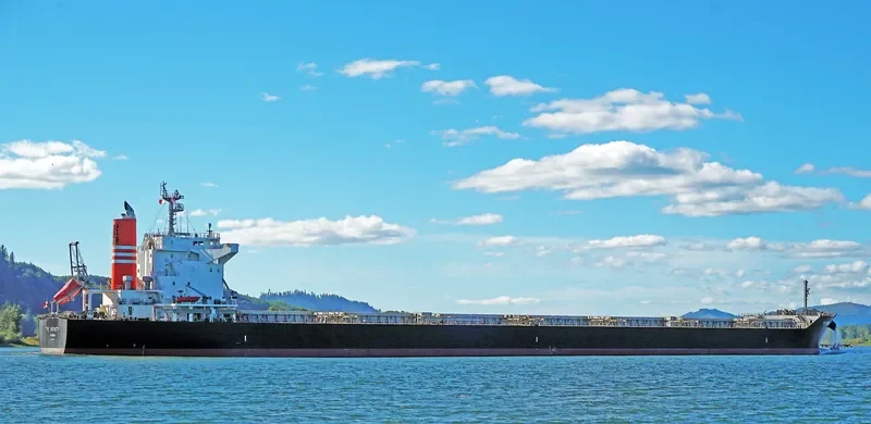 TR INFINITY Bulk Carrier IMO 9738791 photo 4