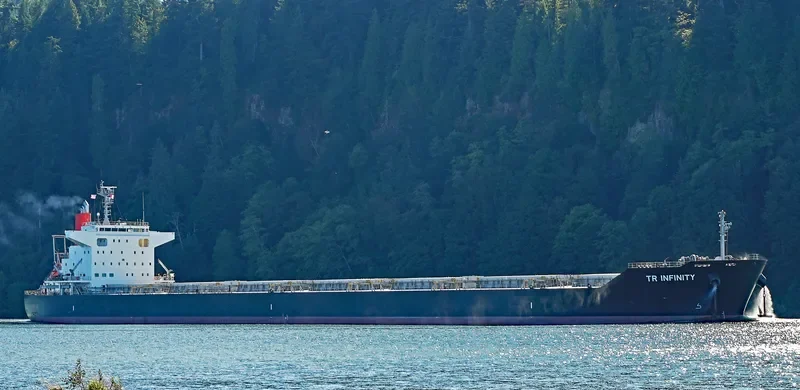TR INFINITY Bulk Carrier IMO 9738791 photo 5