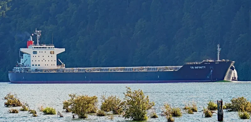 TR INFINITY Bulk Carrier IMO 9738791 photo 6