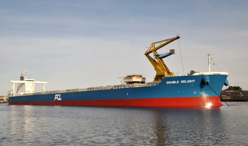 DOUBLE DELIGHT Bulk Carrier IMO 9738806
