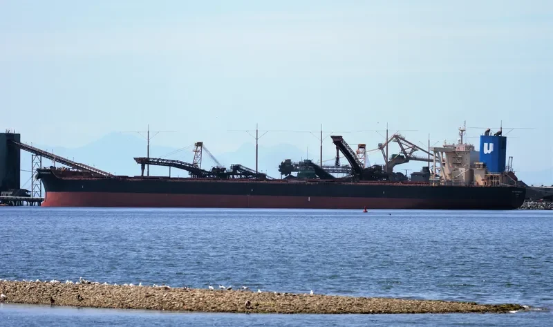 NSU RESPONSIBILITY Bulk Carrier IMO 9738856 photo 3