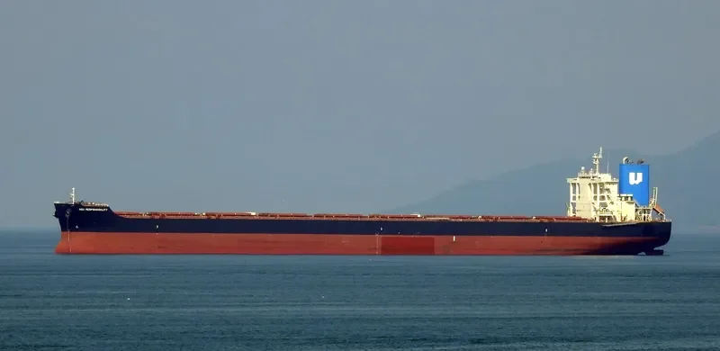 NSU RESPONSIBILITY Bulk Carrier IMO 9738856 photo 4