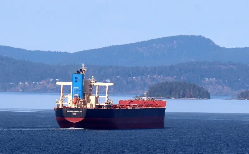 NSU RESPONSIBILITY Bulk Carrier IMO 9738856 photo 8