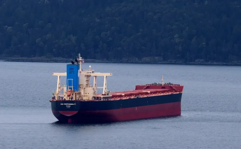 NSU RESPONSIBILITY Bulk Carrier IMO 9738856 photo 9