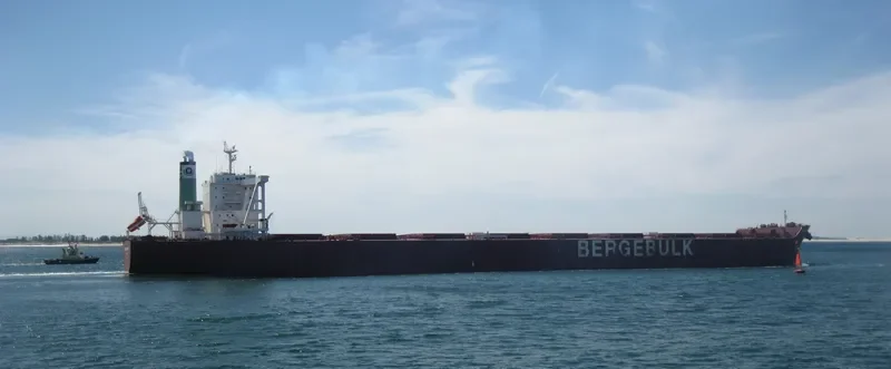 BERGE MAWSON Bulk Carrier IMO 9738868