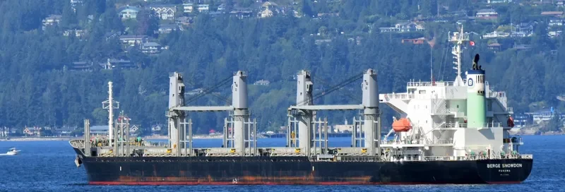 BERGE SNOWDON Bulk Carrier IMO 9738882