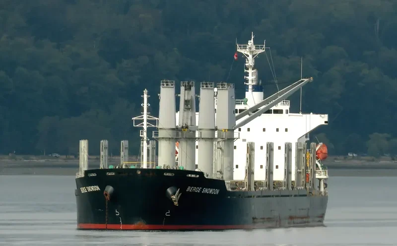BERGE SNOWDON Bulk Carrier IMO 9738882 photo 2
