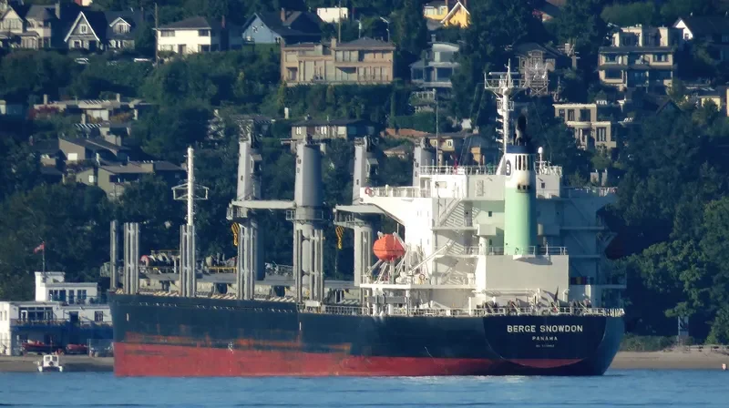 BERGE SNOWDON Bulk Carrier IMO 9738882 photo 3
