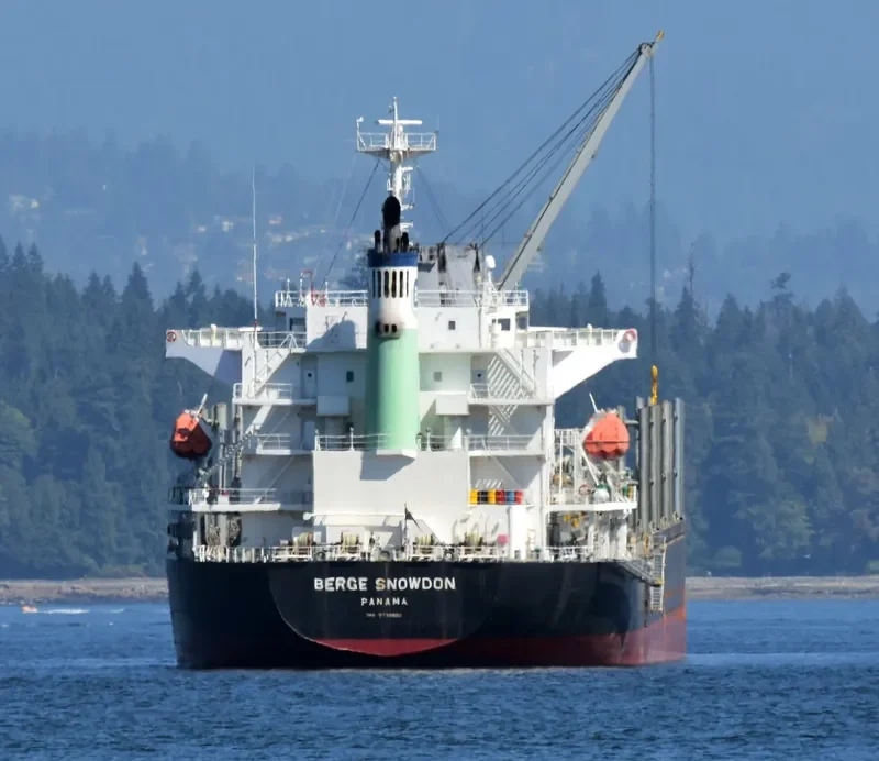 BERGE SNOWDON Bulk Carrier IMO 9738882 photo 4