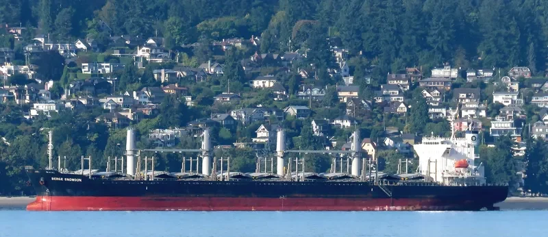 BERGE SNOWDON Bulk Carrier IMO 9738882 photo 5