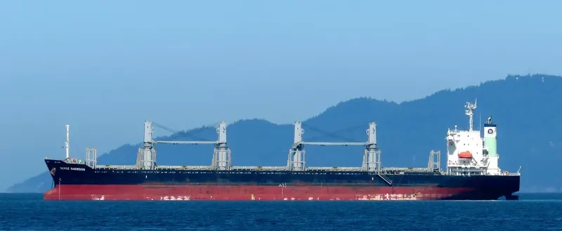 BERGE SNOWDON Bulk Carrier IMO 9738882 photo 6