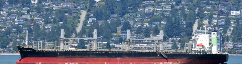 BERGE SNOWDON Bulk Carrier IMO 9738882 photo 7
